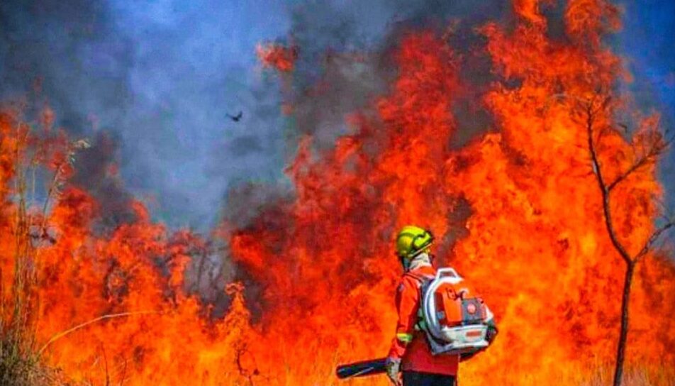 Homem é preso suspeito de atear fogo em área no Jardim Palmares, em Barra do Garças