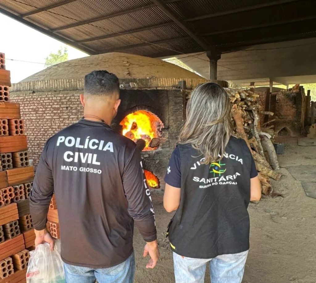 Polícia Civil incinera mais de 30 kg de drogas em Barra do Garças
